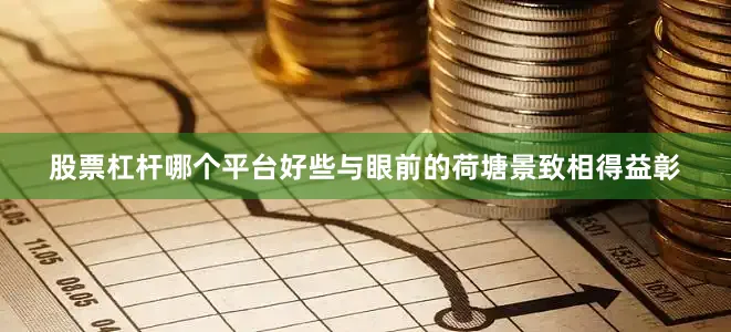 股票杠杆哪个平台好些与眼前的荷塘景致相得益彰