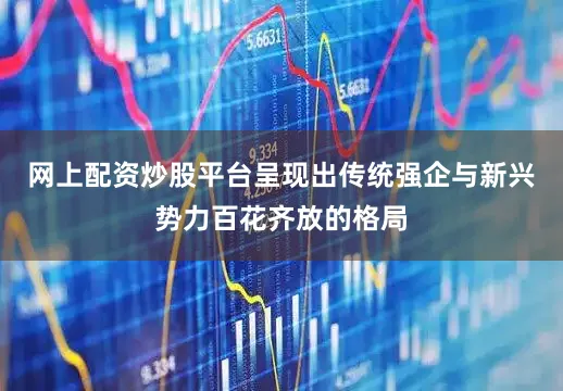 网上配资炒股平台呈现出传统强企与新兴势力百花齐放的格局