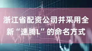 浙江省配资公司并采用全新“速腾L”的命名方式