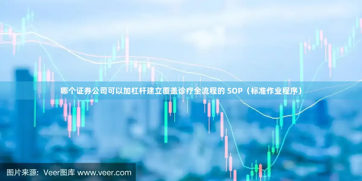 哪个证券公司可以加杠杆建立覆盖诊疗全流程的 SOP（标准作业程序）