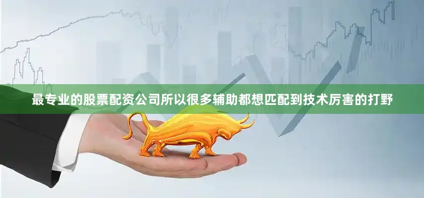 最专业的股票配资公司所以很多辅助都想匹配到技术厉害的打野