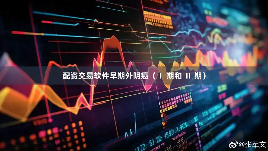 配资交易软件早期外阴癌（Ⅰ 期和 Ⅱ 期）